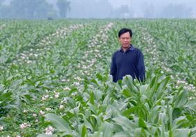 �������ϵġ�ũ���ѧ�ҡ��������й�����...